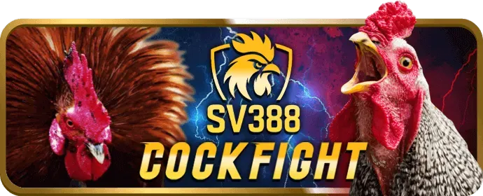 Hoàn Trả Hấp Dẫn Cho Mọi Trò Chơi win66 login